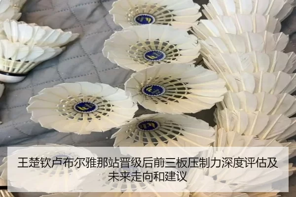wang-chu-qin-lu-bu-er-ya-na-zhan-jin-ji-hou-qian-san-ban-ya-zhi-li-shen-du-ping-gu-ji-wei-lai-zou-xiang-he-jian-yi-2-269.jpg