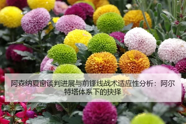 a-sen-na-xia-chuang-tan-pan-jin-zhan-yu-qian-feng-xian-zhan-shu-shi-ying-xing-fen-xi-a-er-te-ta-ti-xi-xia-de-jue-ze-2-292.jpg
